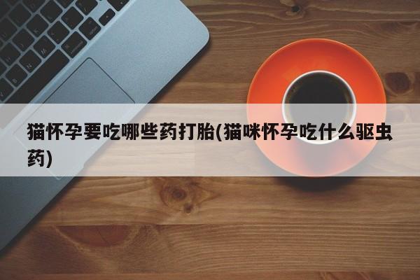 网上卖打胎药的微信猫怀孕要吃哪些药打胎(猫咪怀孕吃什么驱虫药)
