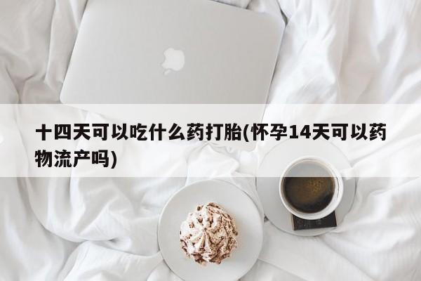 网上卖打胎药的微信十四天可以吃什么药打胎(怀孕14天可以药物流产吗)